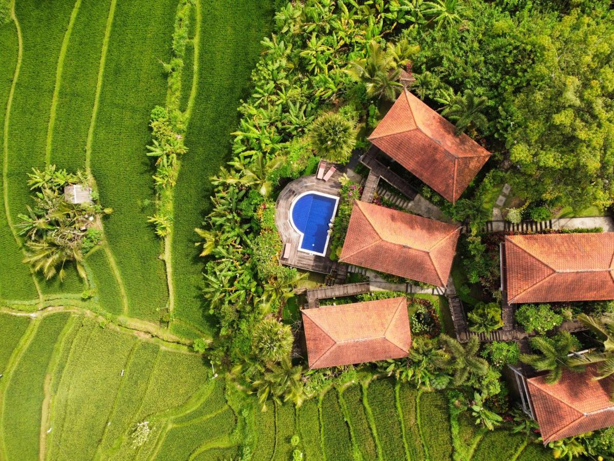 Barong Villas ซิเดอมัน ภายนอก รูปภาพ