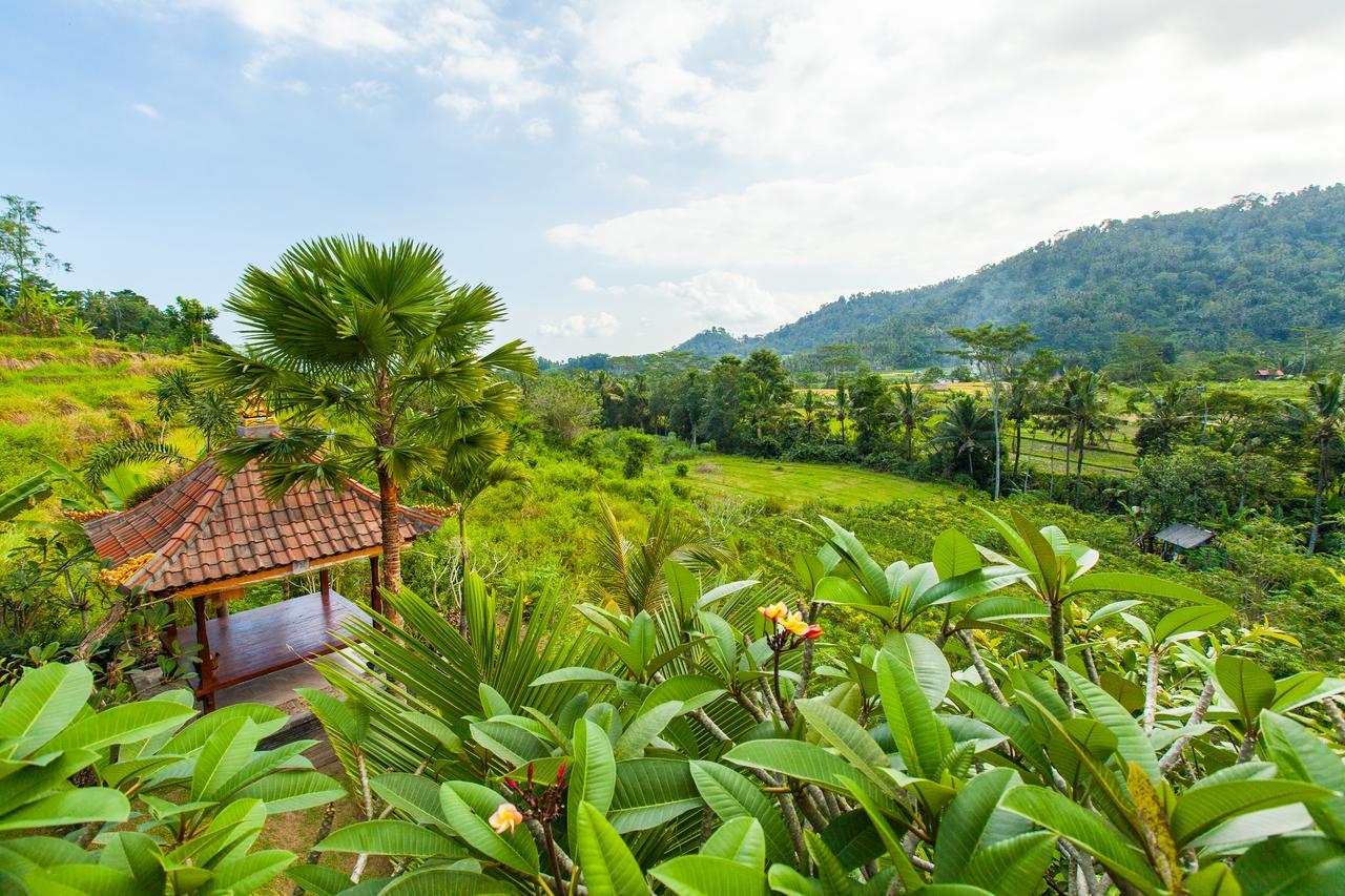 Barong Villas ซิเดอมัน ภายนอก รูปภาพ
