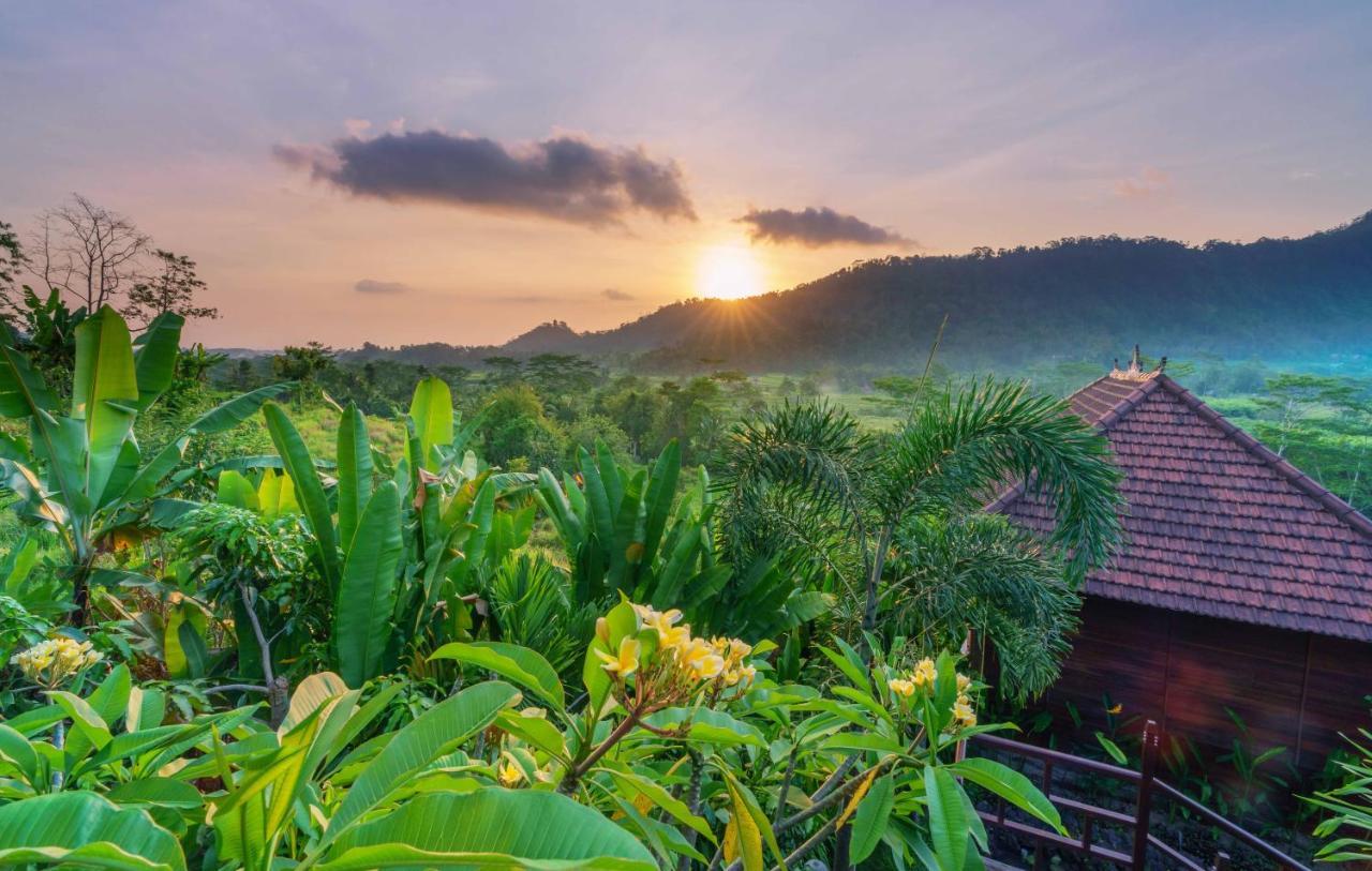 Barong Villas ซิเดอมัน ภายนอก รูปภาพ