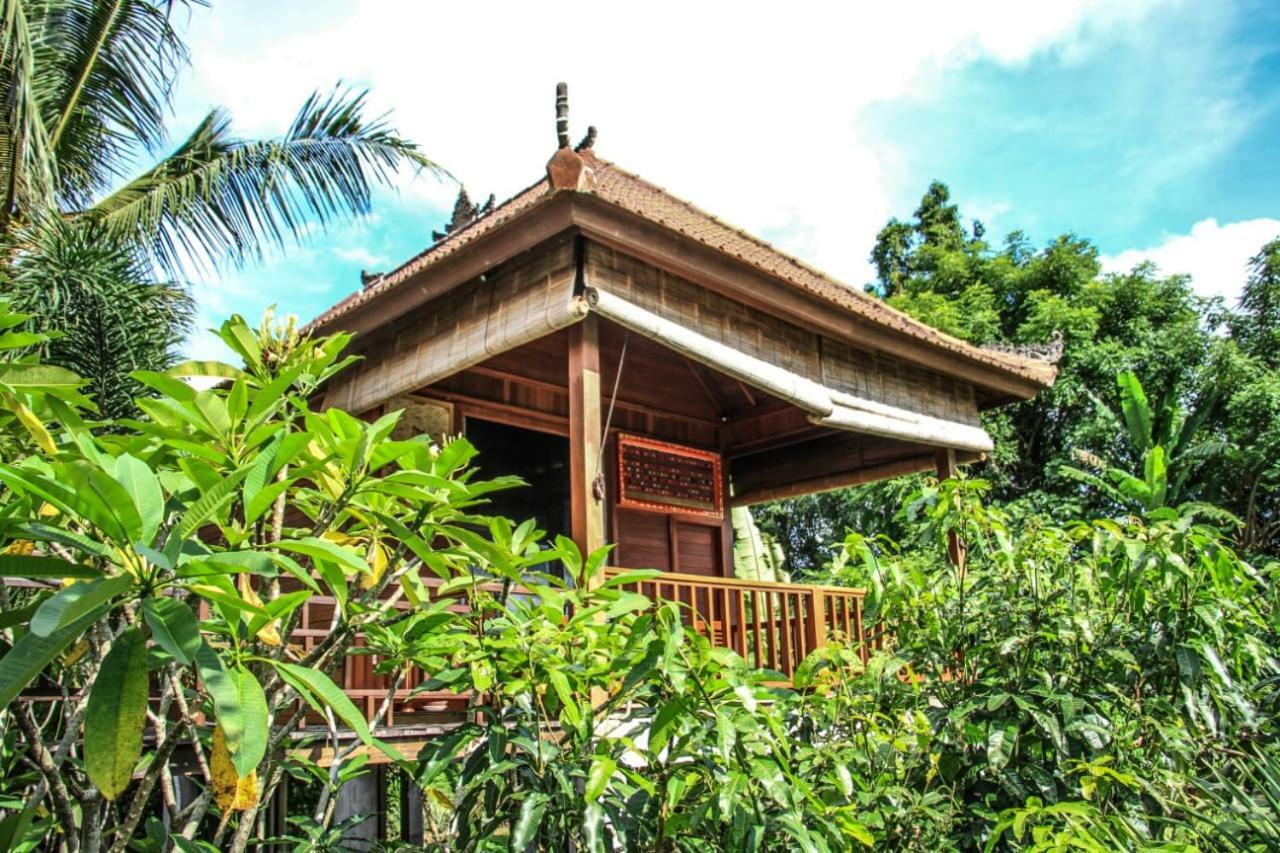 Barong Villas ซิเดอมัน ภายนอก รูปภาพ