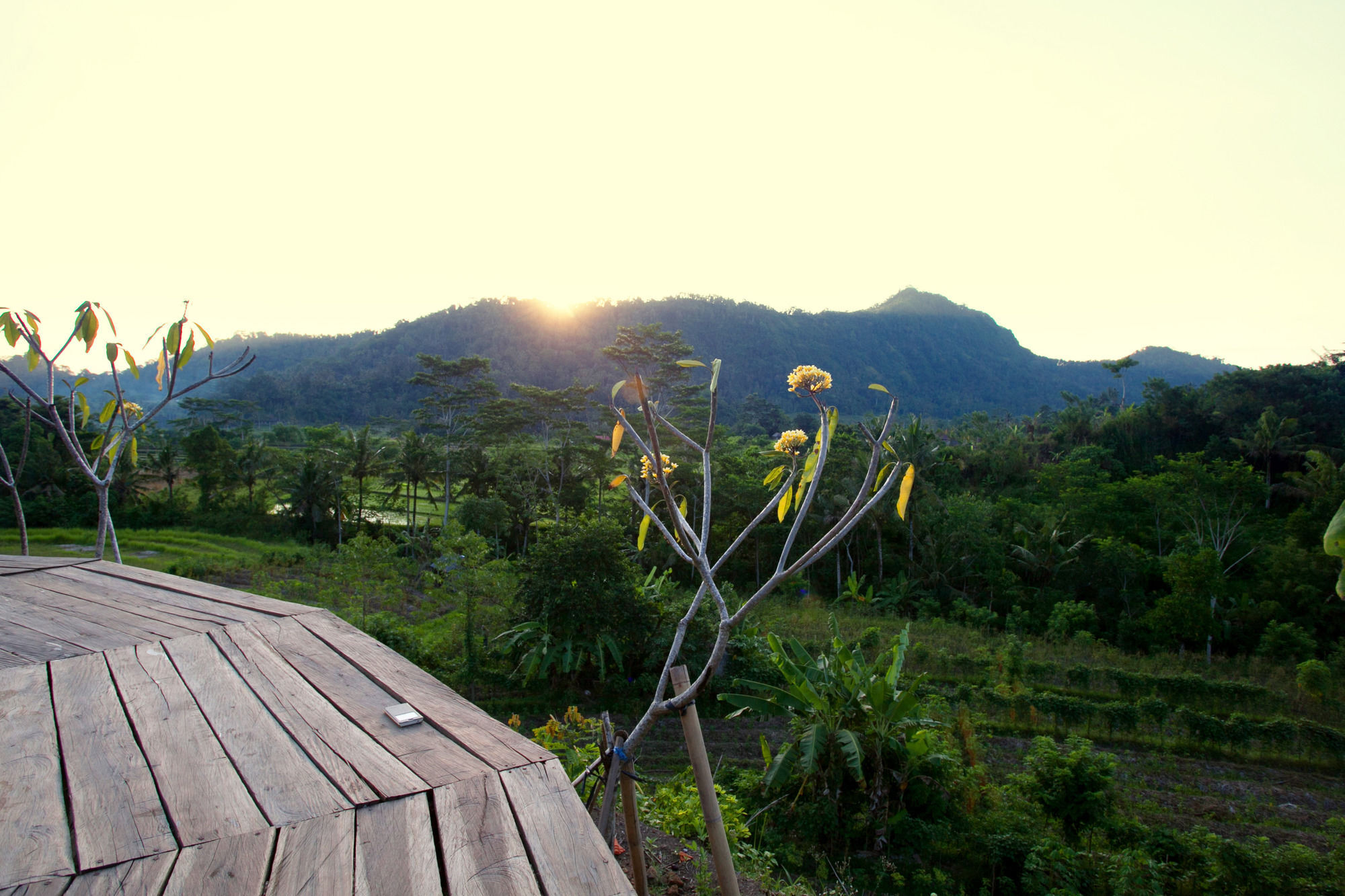 Barong Villas ซิเดอมัน ภายนอก รูปภาพ