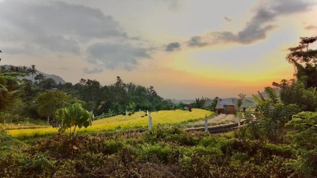 Barong Villas ซิเดอมัน ภายนอก รูปภาพ